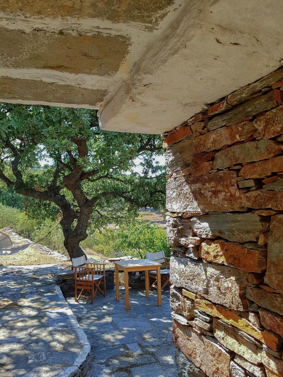 Under Royal Oaks Villa Pera Meria Exteriör bild